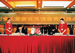 2002年11月，国药股分在上海证券买卖所上市