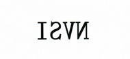 NVSI